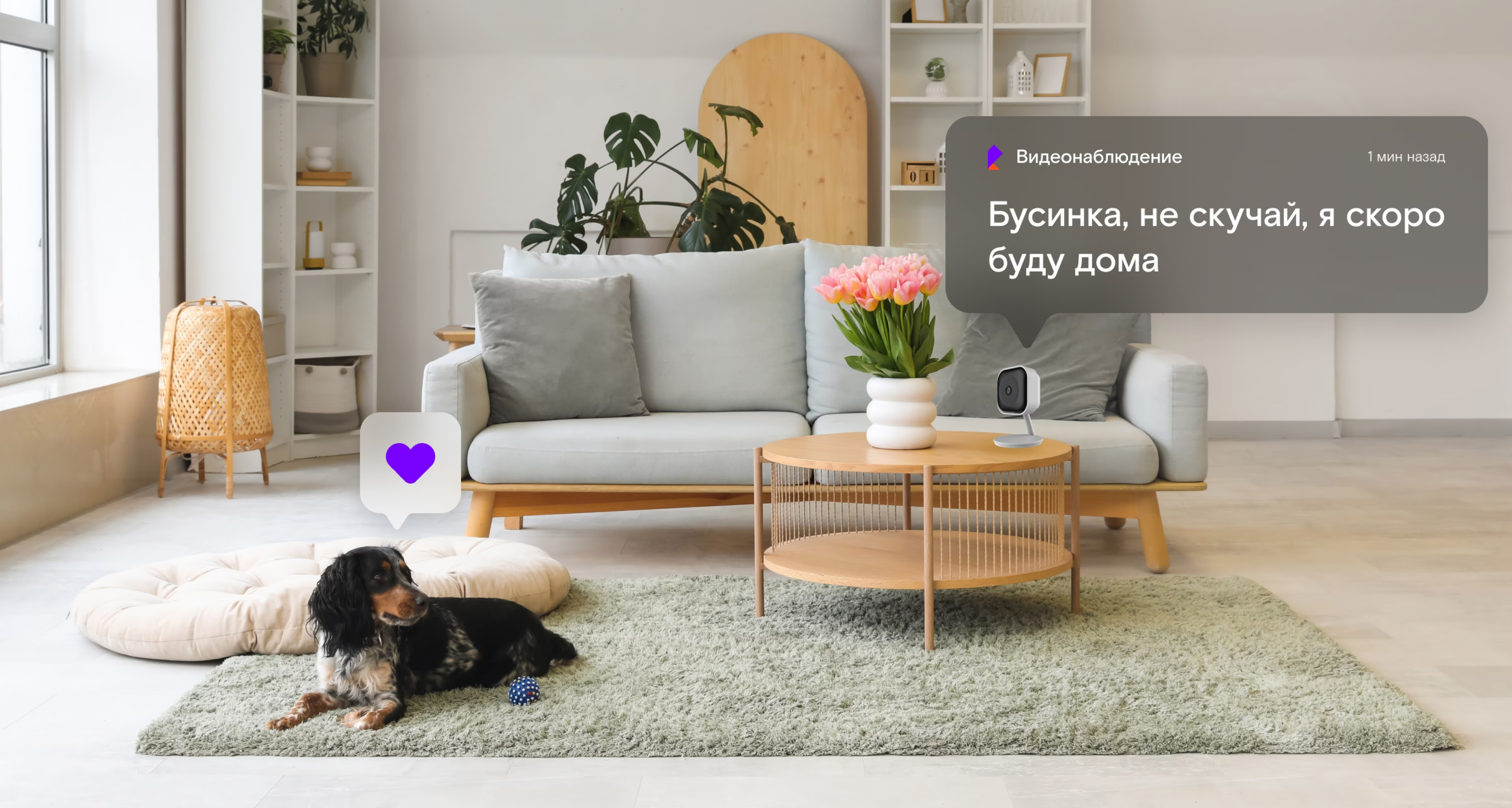 Узнавайте, чем заняты питомцы